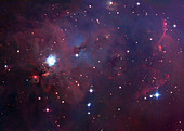 Reflection nebula (NGC 1999)