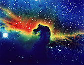 Optical photo of Horsehead Nebula