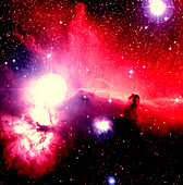 Optical image of Horsehead Nebula and sur