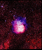 True-colour UK Schmidt image of Trifid Nebula M20