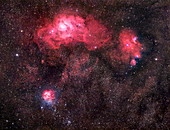 Lagoon,Trifid and NGC 6559 nebulae