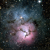 Trifid nebula (M20