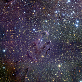 Young stars in Eagle Nebula