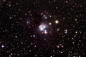 Starbirth region NGC 7129