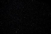 Starry sky: Vulpecula and Aquila