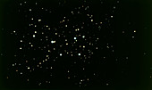 Binocular view of the Pleiades open star cluster