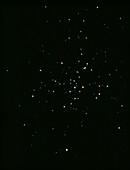 Optical photo of M41 open star cluster