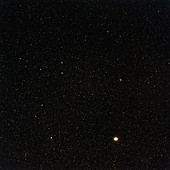 Globular cluster Omega Centauri