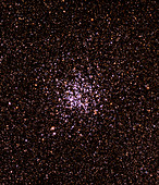 Wild Duck star cluster