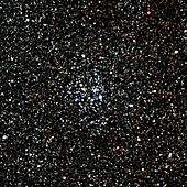 Open cluster M26