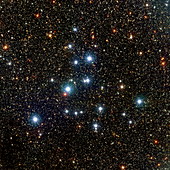 Open star cluster M39