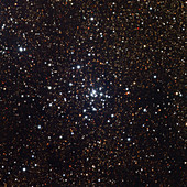 Open star cluster M21