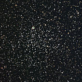 Open star cluster M46