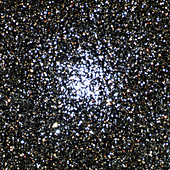 Open star cluster M11