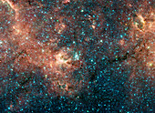 Massive star cluster and nebulae