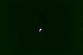 Optical photo of the visual binary star Almach