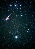 Optical image of the star Rigel in Orion