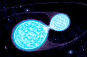 Binary neutron star