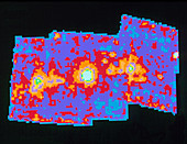 X-ray image of SS 433 black hole candidate