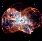 NGC 2440 planetary nebula,Hubble image