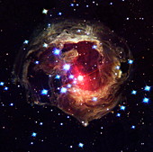 Light echoes around V838 Monocerotis star
