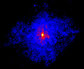 3C58 supernova remnant