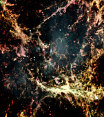Crab nebula gas filaments