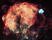 Vela & Puppis A supernova remnants: x-ray image
