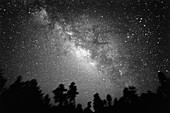 The summer Milky Way taken from Arizona