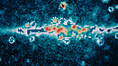 HEAO-1 X-ray image of the centre of the Milky Way