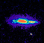 Radio image of spiral galaxy NGC 4631