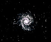 Optical photograph of the spiral galaxy M74