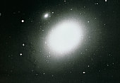 Optical image of elliptical galaxy M86