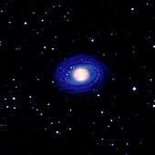 Galaxy NGC 1398