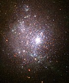 Dwarf galaxy NGC 1705