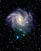 Spiral galaxy NGC 6946