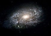 Spiral galaxy NGC3949