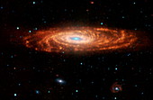 Spiral galaxy NGC 7331