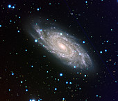 Spiral galaxy NGC 6118
