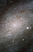 Spiral galaxy NGC 300