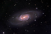 Barred spiral galaxy NGC 2903