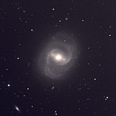 Barred spiral galaxy M91