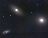 Elliptical galaxy M105
