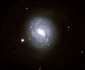 Spiral galaxy M77