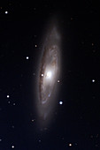 Barred spiral galaxy M65