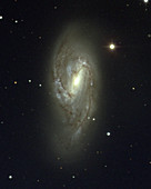 Barred spiral galaxy M66