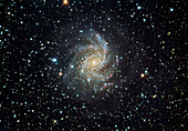 Spiral galaxy (NGC 6946)