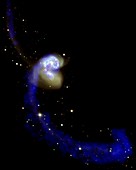 The Antennae galaxies