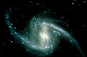 Seyfert galaxy NGC 1365