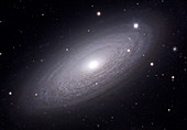 Spiral galaxy NGC 2841